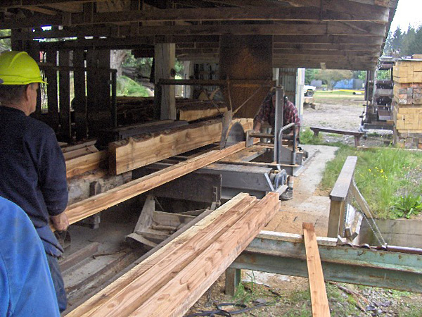 Cutting timber