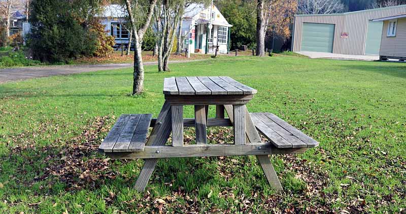 Picnic